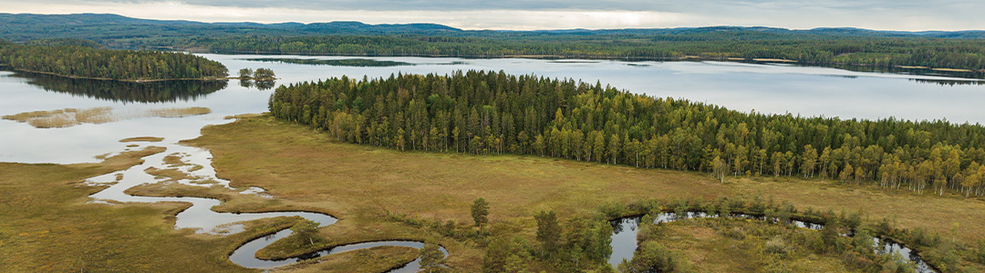 Bild: vy över skog och sjöarna Salbosjön och Ljusnaren